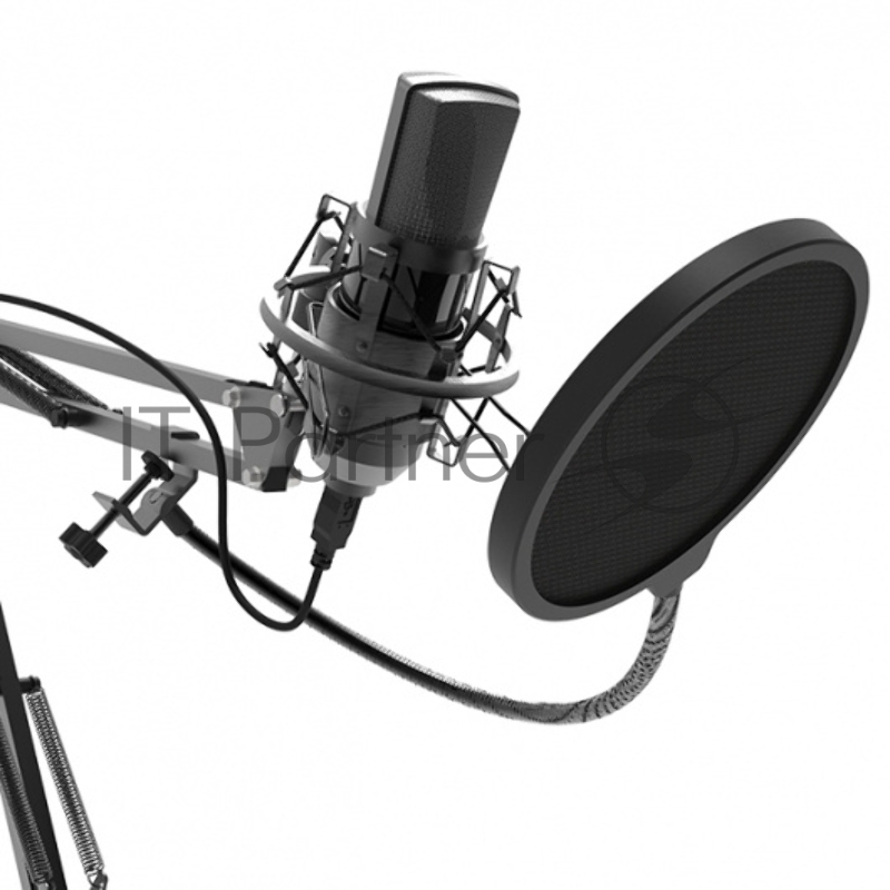 Микрофон RITMIX RDM-180 Black