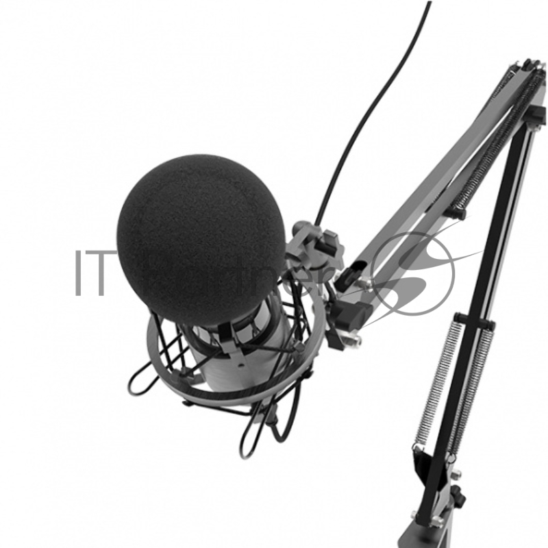 Микрофон RITMIX RDM-180 Black