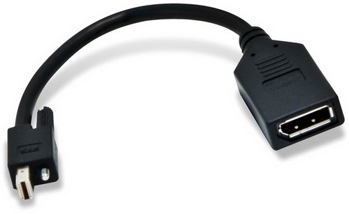 Адаптер Mini-DisplayPort to DisplayPort with Secure Lock X6 (w/o GB)