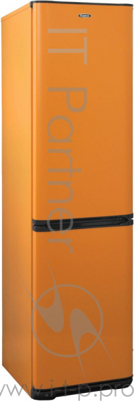 Холодильник Бирюса Б-T149 оранжевый (двухкамерный)