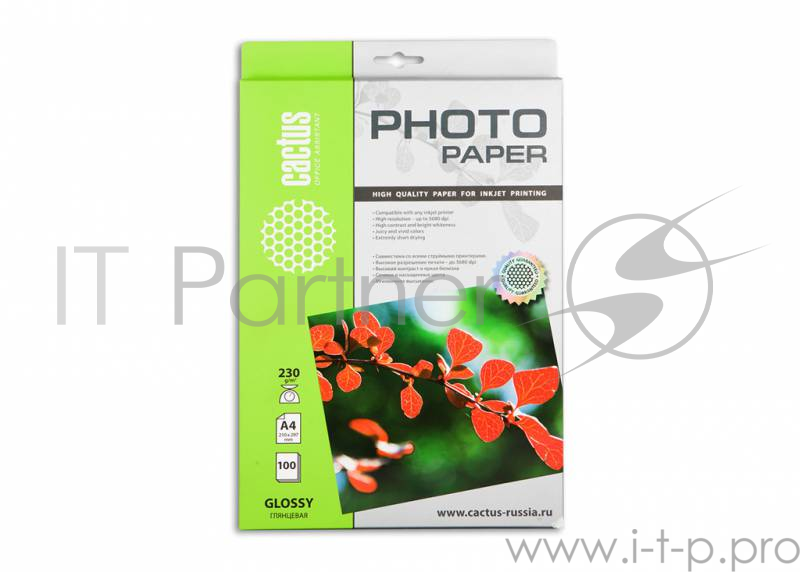Бумага Cactus CS-GA4230100 Фотобумага Cactus CS-GA4230100 глянцевая А4 230 г/м2 100 листов