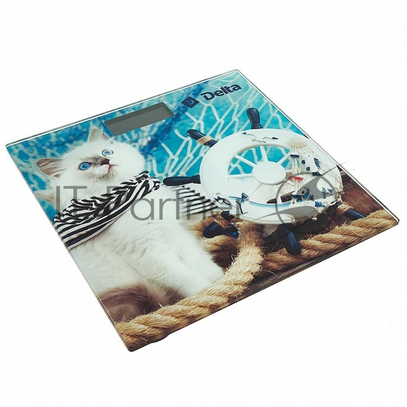 Весы напольные DELTA D-9301