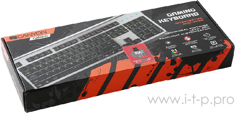 CANYON CND-SKB8-RU {Wired multimedia gaming keyboard with lighting effect, 20pcs rainbow LED & 19pcs RGB light, Numbers 104keys, RU+EN double injectio