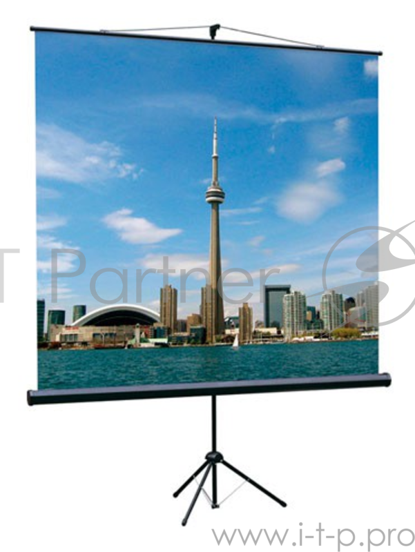 Экраны LUMIEN Lumien Eco View LEV-100101 Экран на треноге 150x150 см 1:1 напольный рулонный