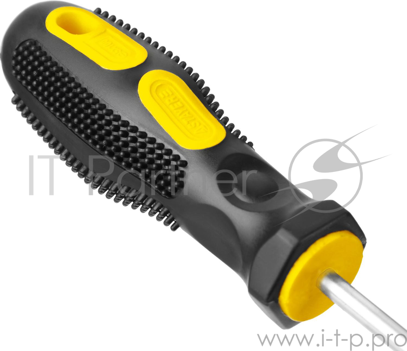 Набор STAYER MASTER 2513-H2_z01 слесарные.двухкомп рукоятка.магнитный наконечник.2 / 6мм-100мм.2шт