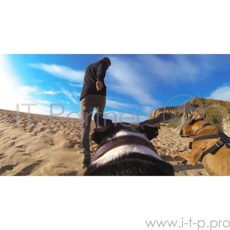 Крепеж GoPro Крепление-упряжка для собак GoPro ADOGM-001 (Fetch! Dog Harness)