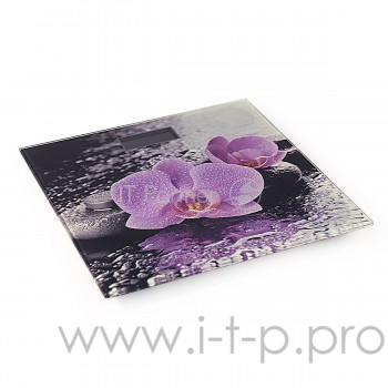 Весы напольные Magnit RMX-6307 электронн