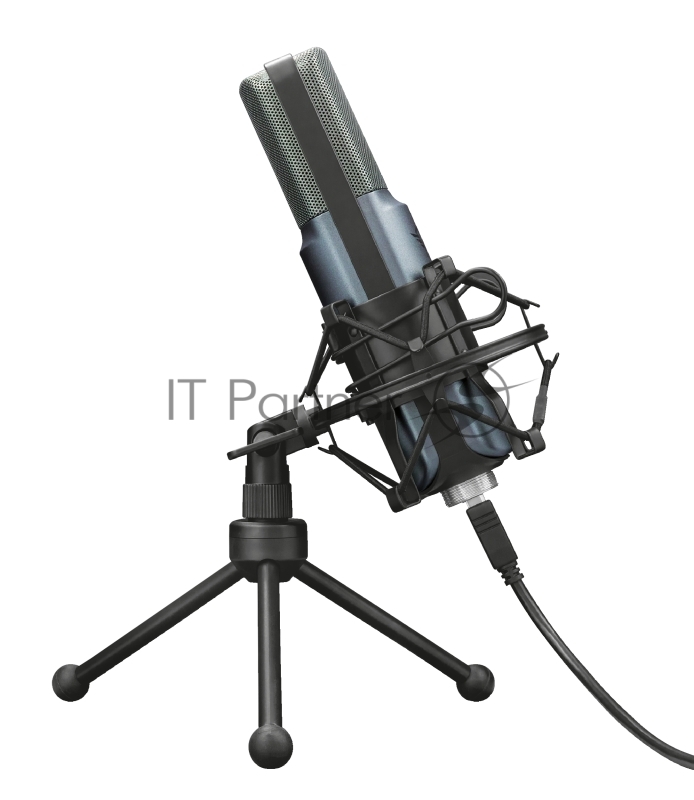 Микрофон TRUST LANCE GXT 242 (паук стойка,защита,USB,поп-фильтр)