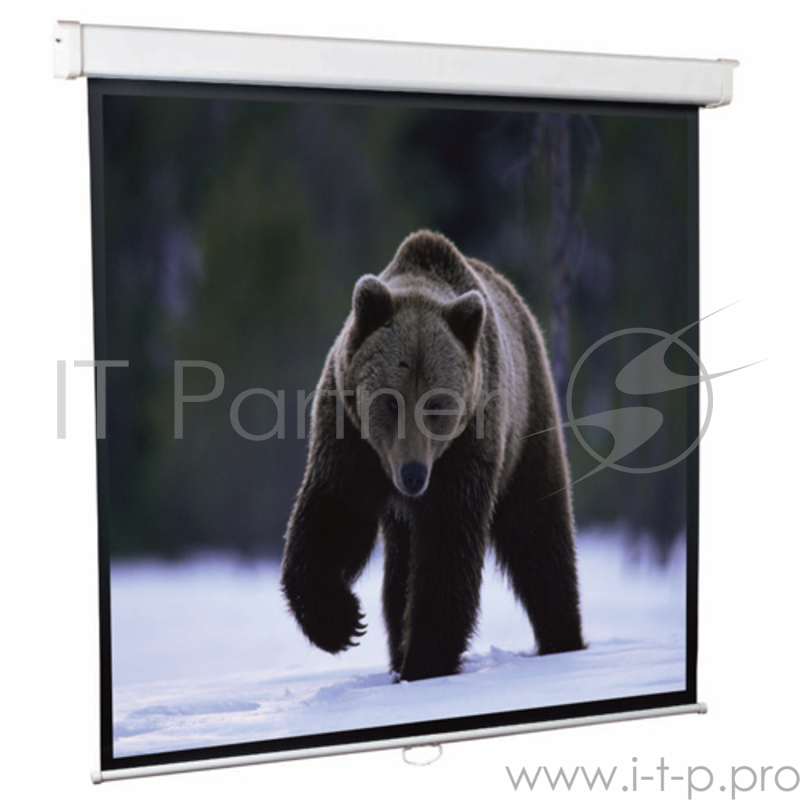 Настенный экран Economy 171*171, рабочая поверхность 165*92 см MW