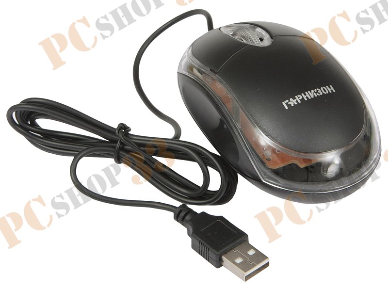 Оптическая мышь Гарнизон GM-100, 2кн.+скр., черный (USB)
