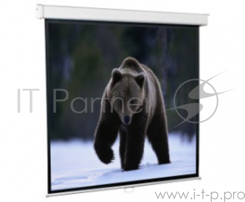 Экран ScreenMedia Economy SEM-1101 Экран настенный,127х127 MW