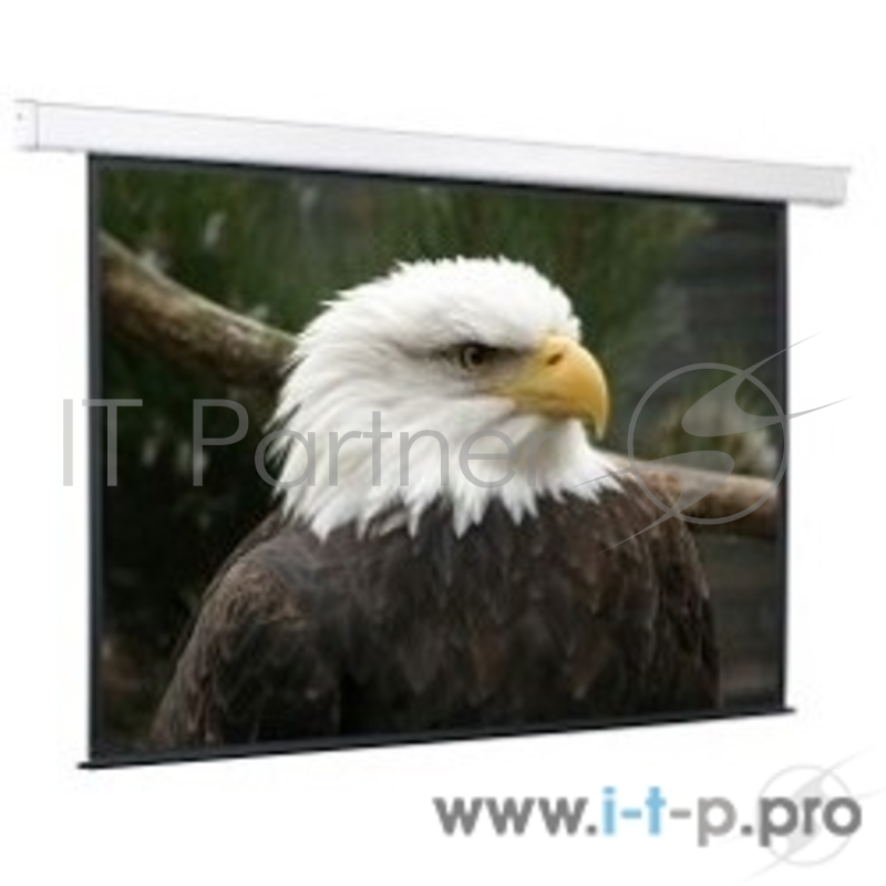 Экраны Screen Media ScreenMedia Champion SCM-4304 Экран с эл. приводом,183x244 MW