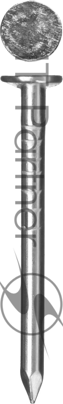 ЗУБР Гвозди толевые оцинкованные, ГОСТ 4029-63, 20 х 2.0 мм, 5 кг, 305210-20-020