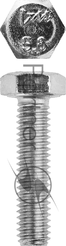 Зубр Болт МАСТЕР с шестигранной головкой, ГОСТ 7798-70, класс прочности 5.8, оцинкованный, M6x20мм, 5кг 303080-06-020