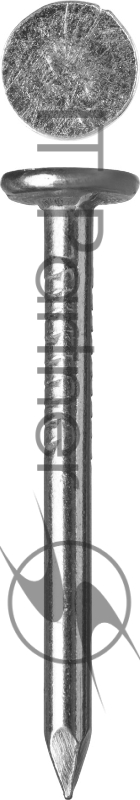 ЗУБР Гвозди с большой потайной головкой, оцинкованные, 40 х 3.0 мм, 5 кг, 305090-30-040