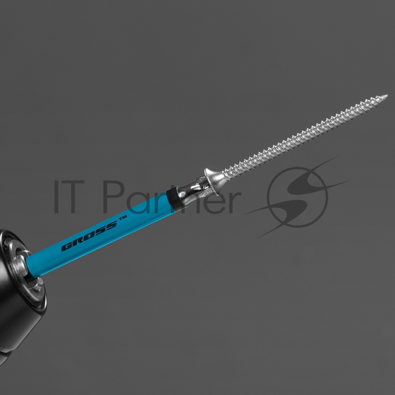 GROSS Набор бит Ph2x90, сталь S2, 10шт //GROSS 11263