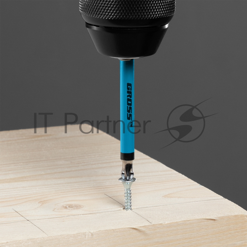 GROSS Набор бит Ph2x90, сталь S2, 10шт //GROSS 11263