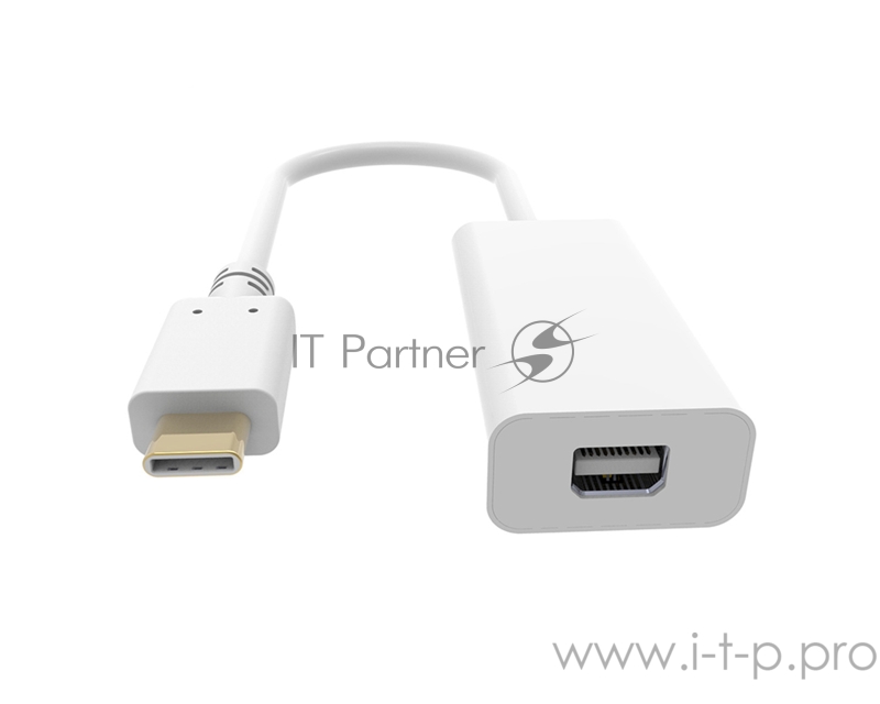 Адаптер Buro BHP RET TPC_MDP USB Type-C (m) miniDisplayPort (f) белый