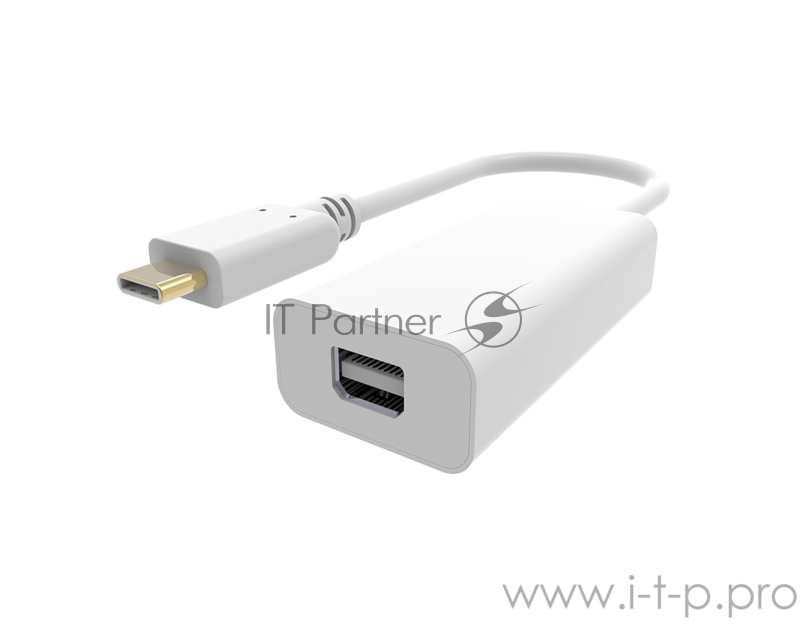 Адаптер Buro BHP RET TPC_MDP USB Type-C (m) miniDisplayPort (f) белый