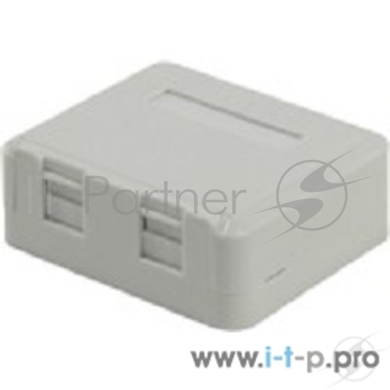 Монтажное оборудование 5bites LY-SB04-A Розетка внешняя RJ-45 6 кат., 2порт.