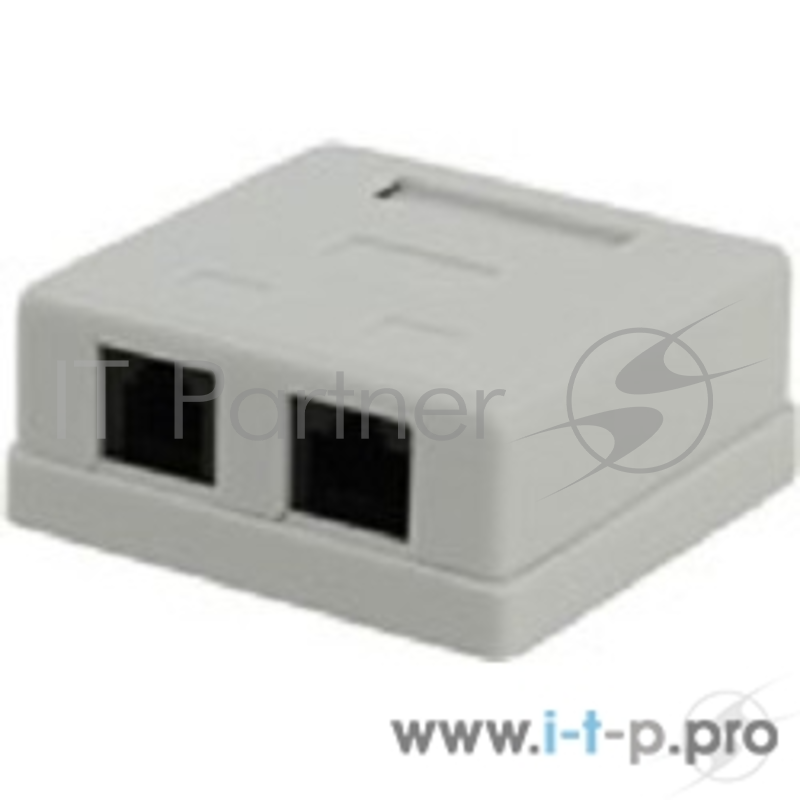 Монтажное оборудование 5bites LY-SB09 Розетка внешняя RJ-45+RJ-11 5e кат.