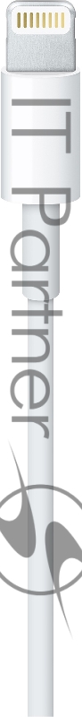 Аксессуар MD819ZM/A Apple Lightning to USB Cable (2 m)