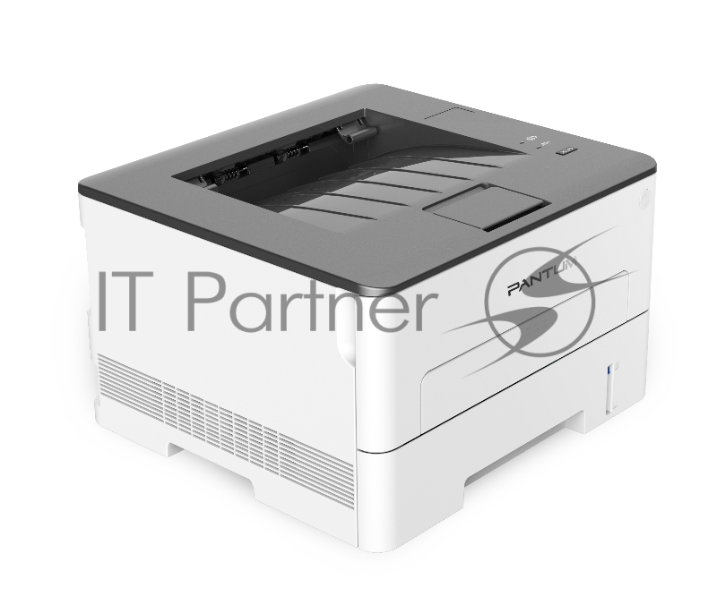 Принтер лазерный Pantum P3010DW