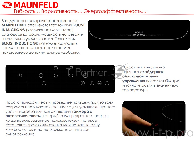 Электрическая индукционная панель MAUNFELD EVI.594.FL2(S)-BK