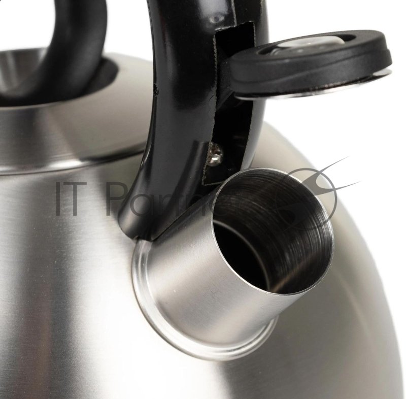 Чайник Rondell Premiere RDS-237 2,4 л