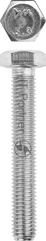 Болт ЗУБР ГОСТ 7798-70 M12 x 100 мм 5 кг кл. пр. 5.8 оцинкованный
