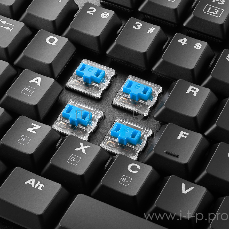 Sharkoon PureWriter TKL RGB Игровая клавиатура (slim, Kailh Blue switches, RGB подсветка, USB, без нампада)