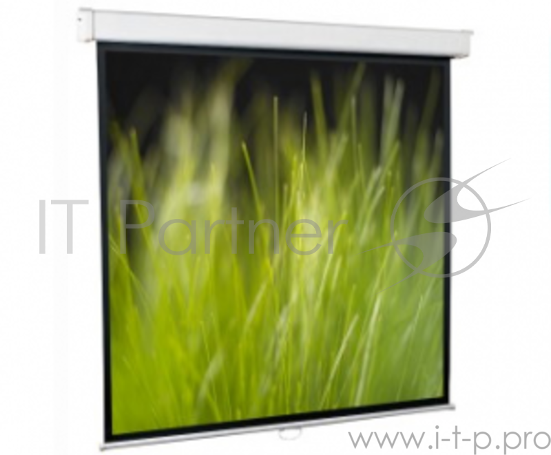 Настенный экран Goldview 305*305 MW