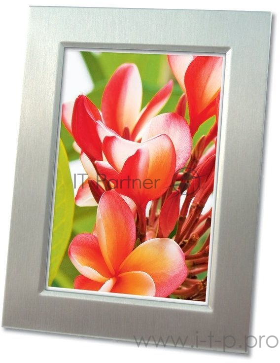 Фотобумага Avery Zweckform 2556-20 A4/250г/м2/25л./белый глянцевое для струйной печати