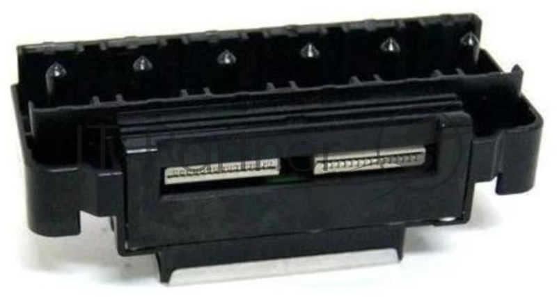 Печатающая головка Epson PictureMate 500 (O) F154020