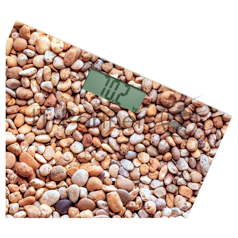 Персональные весы Sencor