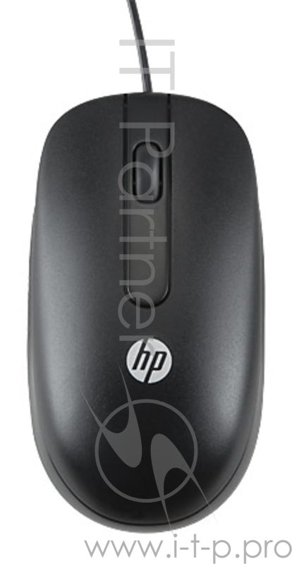 Мышь HP QY778AA черный оптическая (1000dpi) USB (2but)