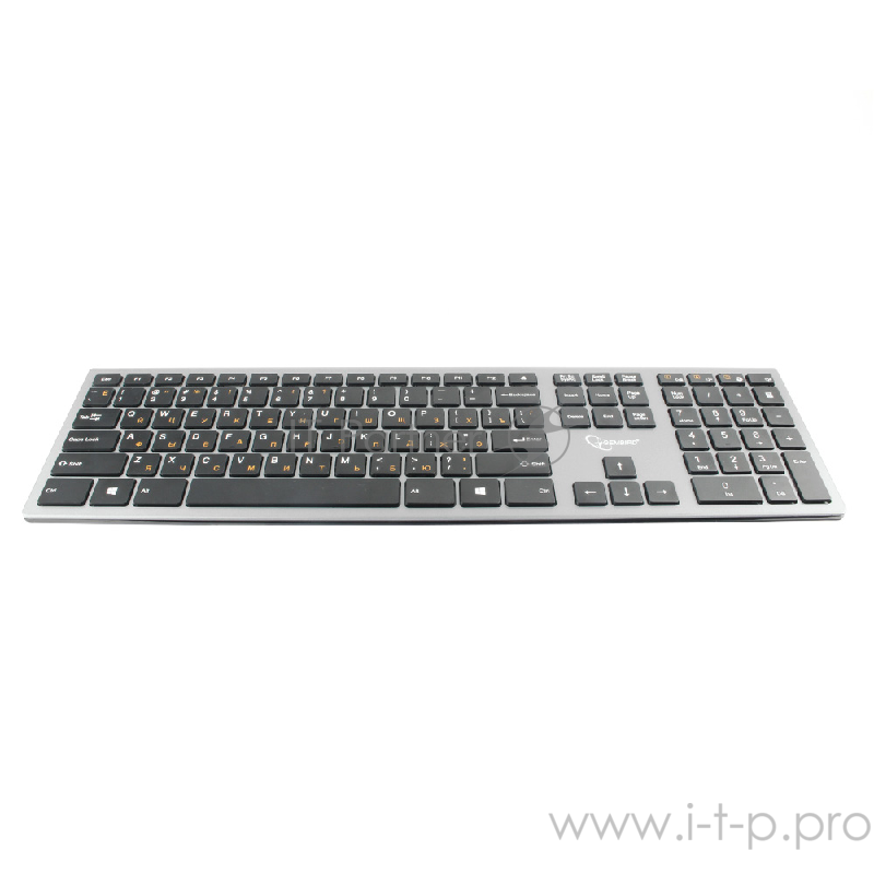 Клавиатура беспроводная Gembird KBW-1