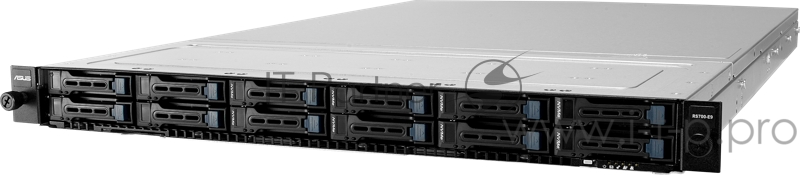 Серверная платформа RS700-E9-RS12/4NVME