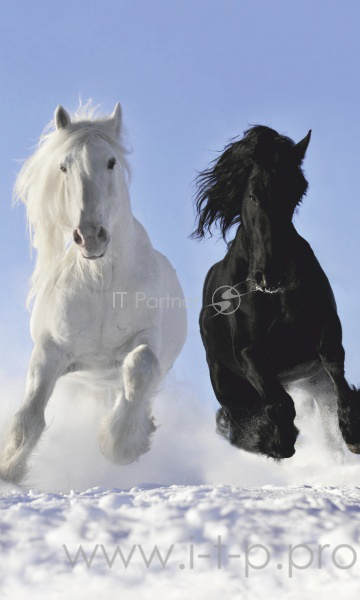 Грелка электрическая - Обогреватель настенный ЭОБН-0,4-220-УХЛ4, Дыхание тепла, Пегас, Брест (1020*610мм), 400 Вт (19с425)