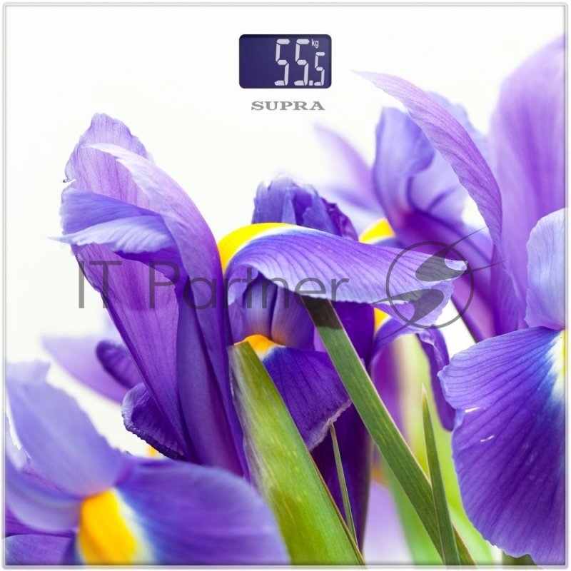Весы SUPRA BSS-2013