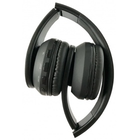 CBR Human Friends Eden BT v3.0