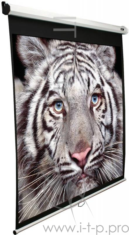 Экран Elite Screens 152x152см Manual M85XWS1 1:1 настенно-потолочный рулонный