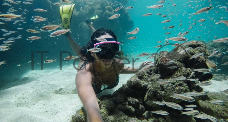 Водонепроницаемый бокс для камеры GoPro HERO8 AJDIV-001 (Dive Housing)