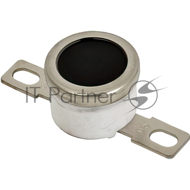 AW110064 Термостат Ricoh