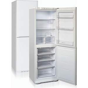 Холодильник Бирюса 631