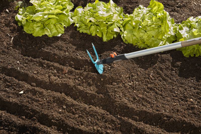 Тяпка для прополки Gardena 03215-20.000.00 7см