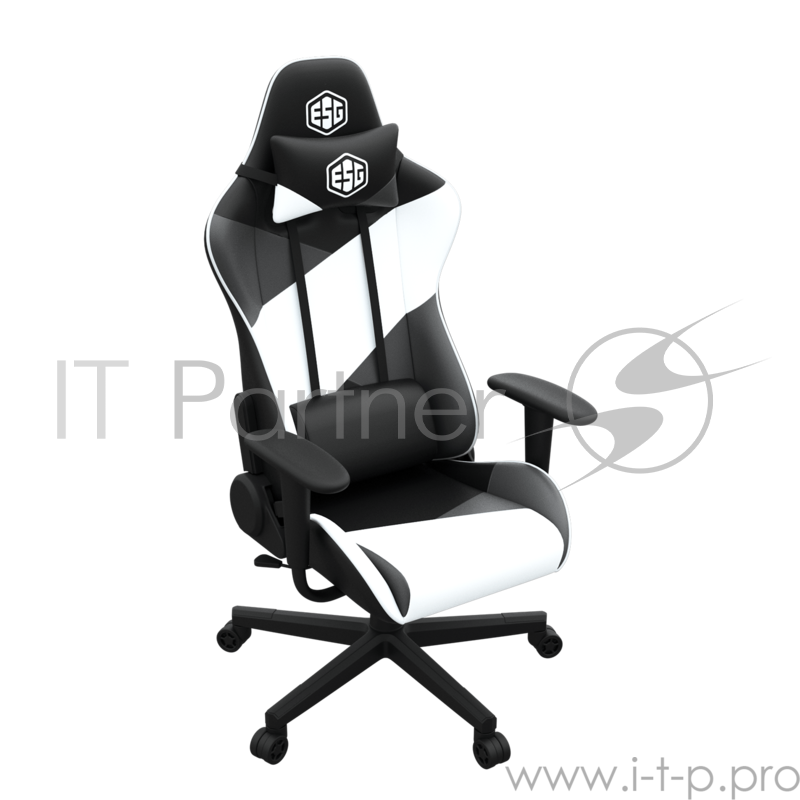 Игровое кресло E-Sport Gear ESG-101 Black/White
