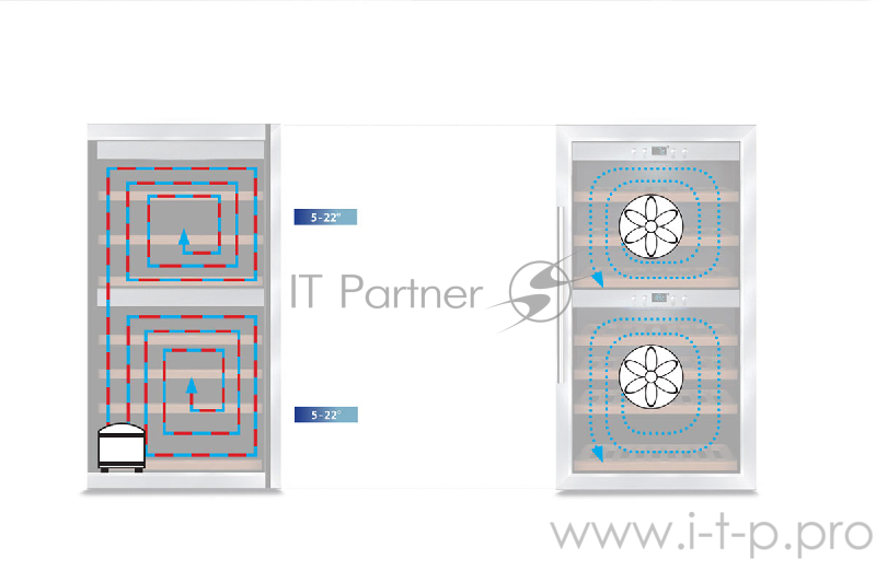 Холодильник винный CASO WineComfort Touch 38-2D