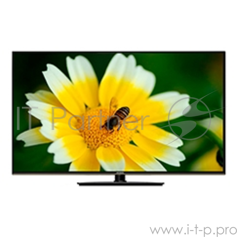 Телевизор ERISSON 19LES81T2