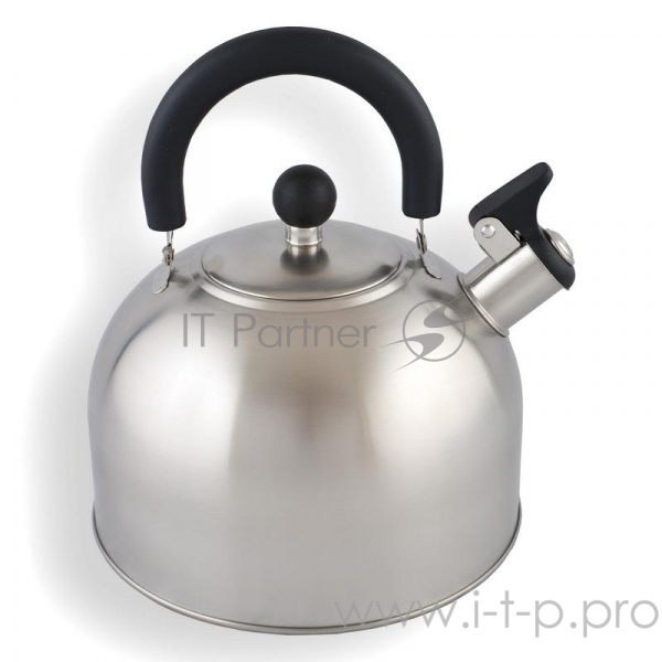 Чайник Катунь КТ-104, 3,2л., матовая полировка.